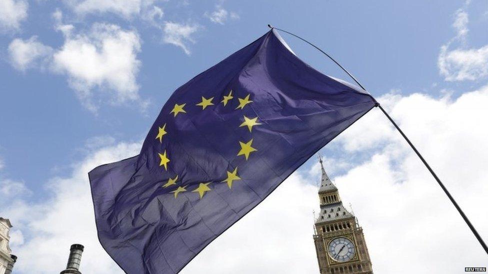 European Flag outside Parliament