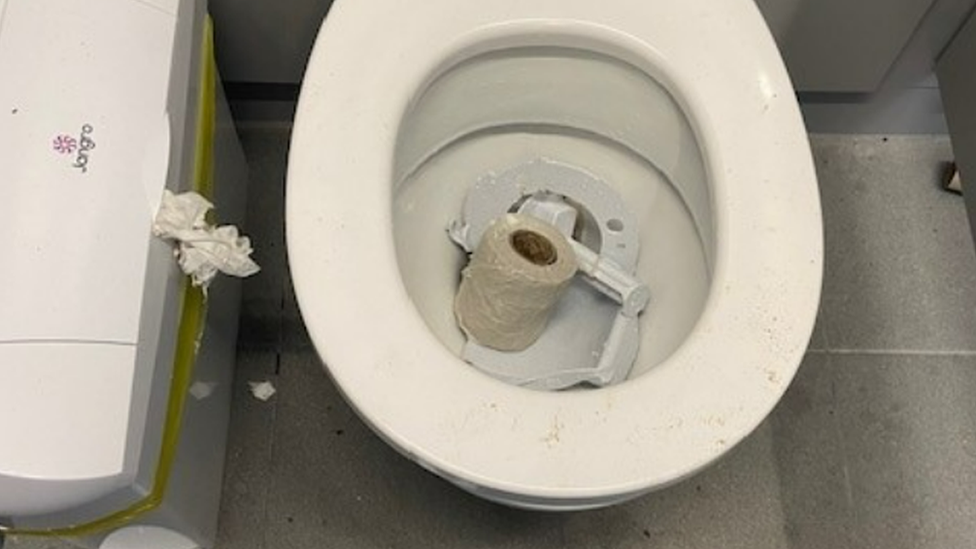 Broken toilet roll holder in a toilet bowl