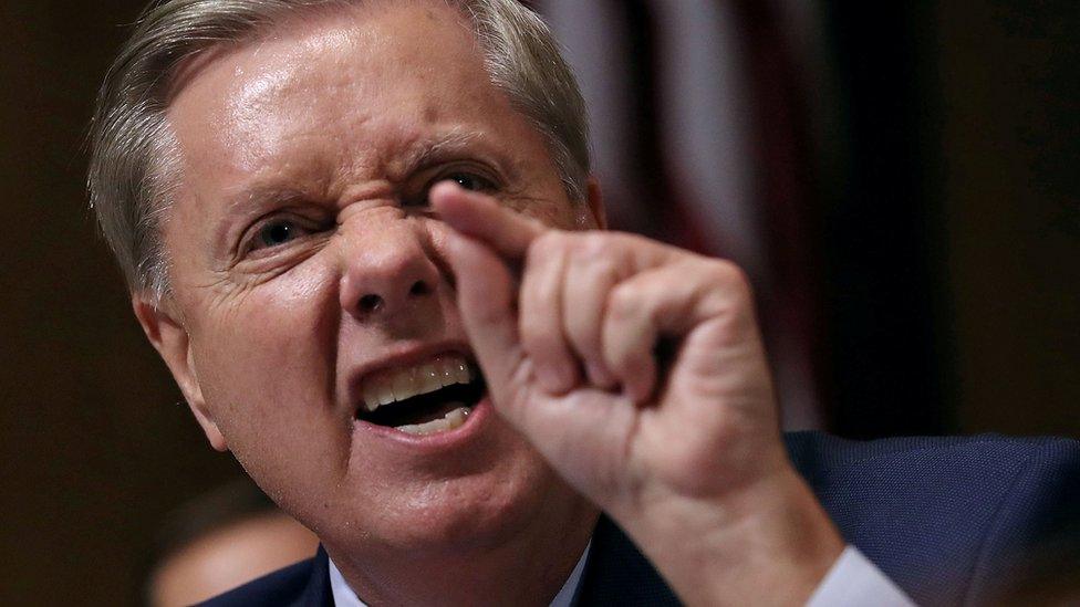 Senate Judiciary Committee member Senator Lindsey Graham