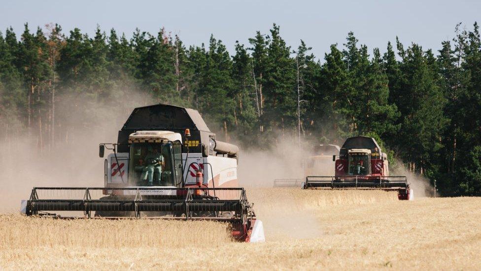 Harvesting in Kharkiv Ukraine in 2017