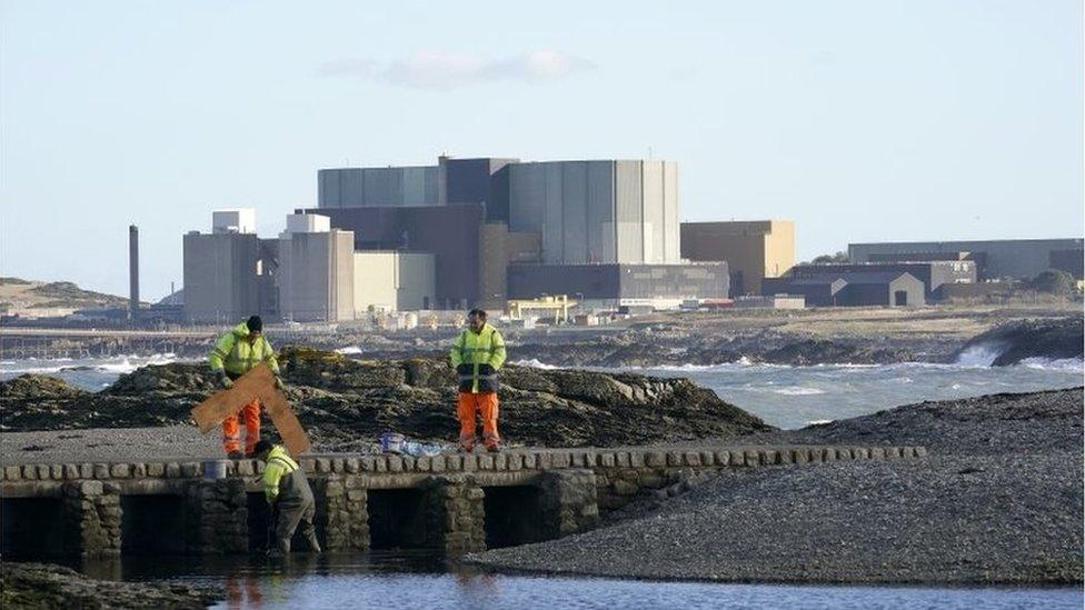 Wylfa