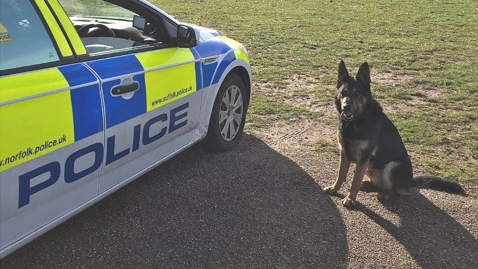 Police dog Harry with police car