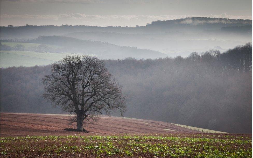 Sentinel, Dyffryn Gwy, Sir Fynwy