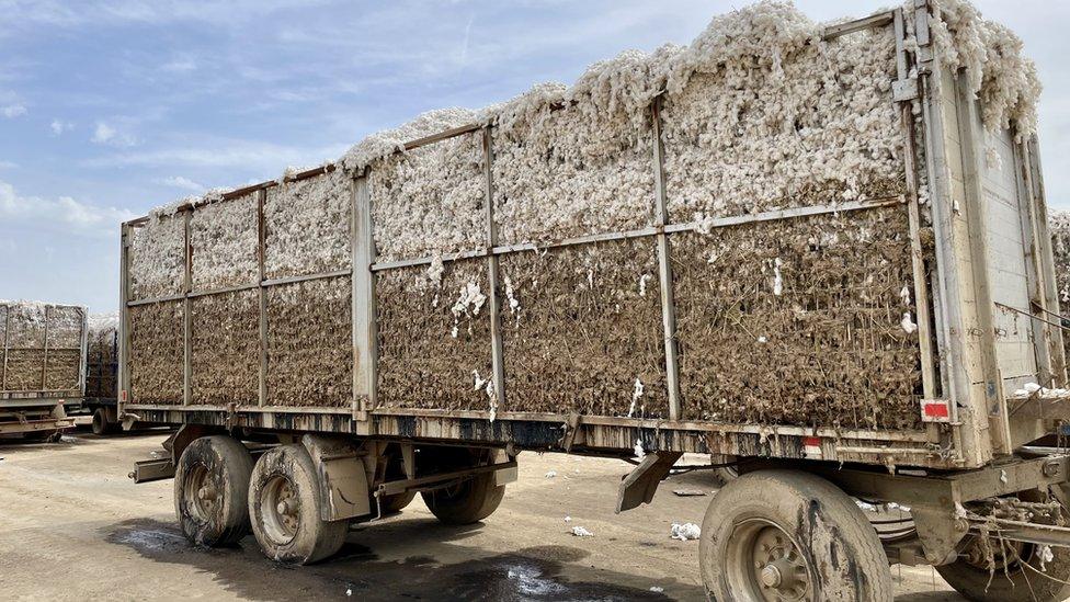 A large bail of cotton, the lower half of which is rotted