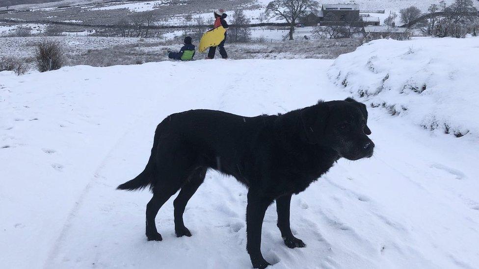 Lottie has been out on Barden Fell in Wharfedale in the Yorkshire Dales with her two humans.