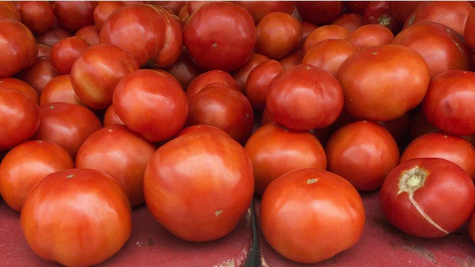 tomatoes