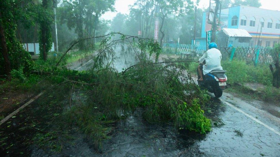 A man rides his bike past fallen tree branches along a road ahead of the expected landfall of cyclone Amphan in Digha, West Bengal, on May 20, 2020.