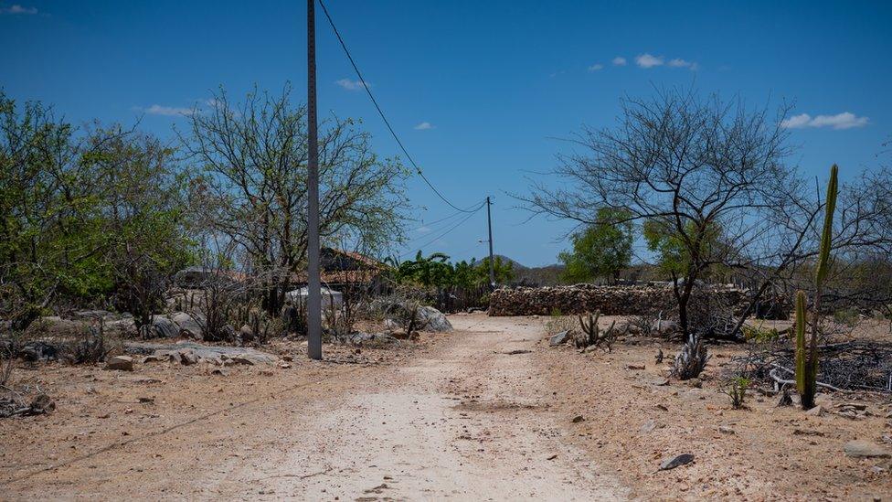 View of a road in Jucurutu