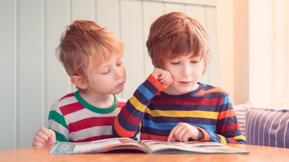 The Book Council of Wales said it was committed to addressing underrepresentation and lack of diversity in Welsh literature