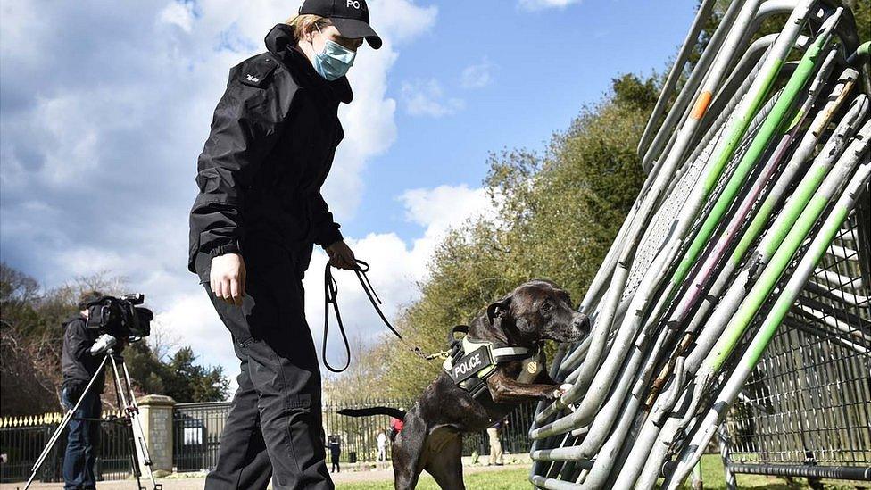 Roxy working ahead of the Duke of Edinburgh's funeral