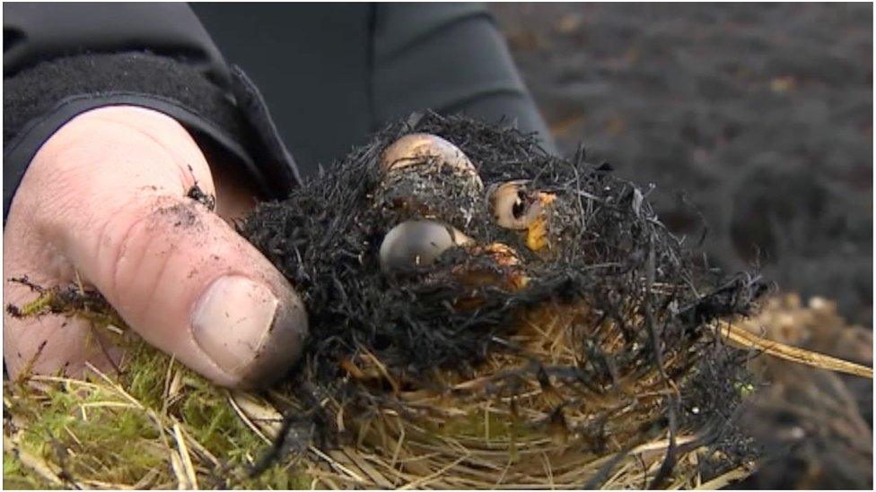 Egg burned by fire