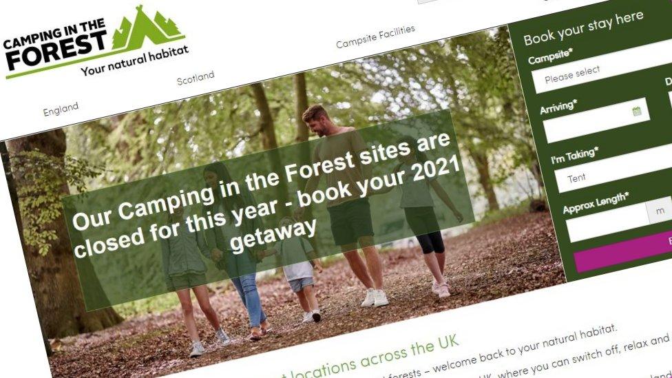 Camping in the Forest website