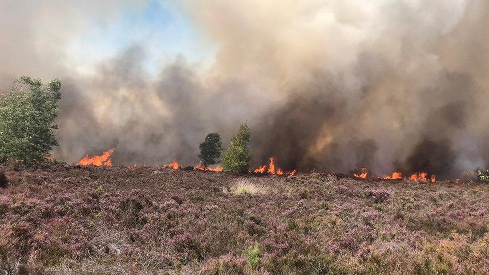 Fire on Hankley Common