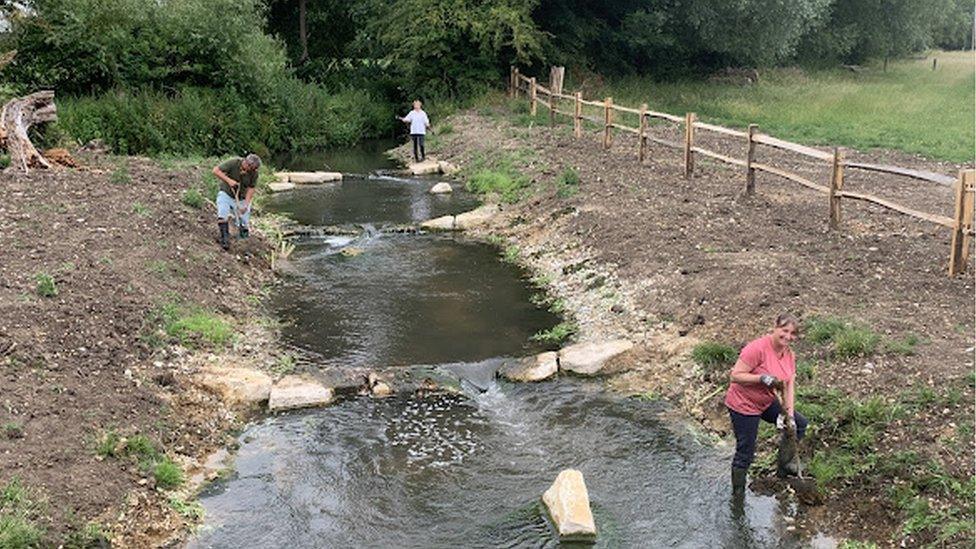 Volunteers planting along the brook