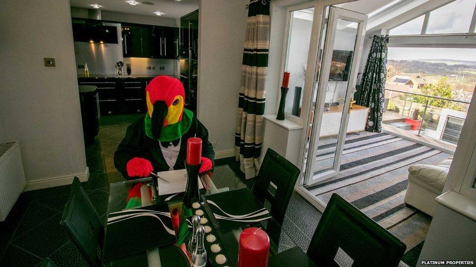 The parrot wait for his hot date to dine