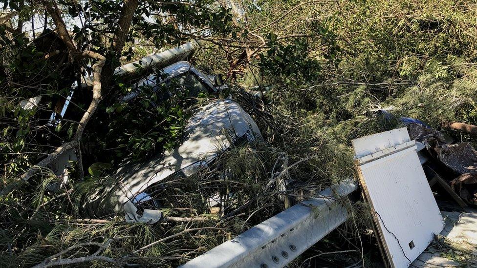 A car buried in trees in Fort Myers, Florida