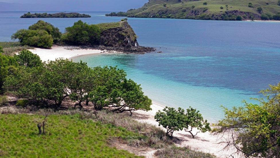 Around 2,000 people live on Komodo island, which is in eastern Indonesia