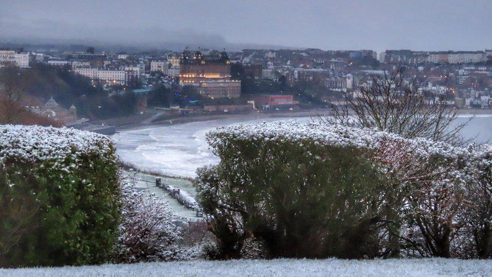 Snow in Scarborough