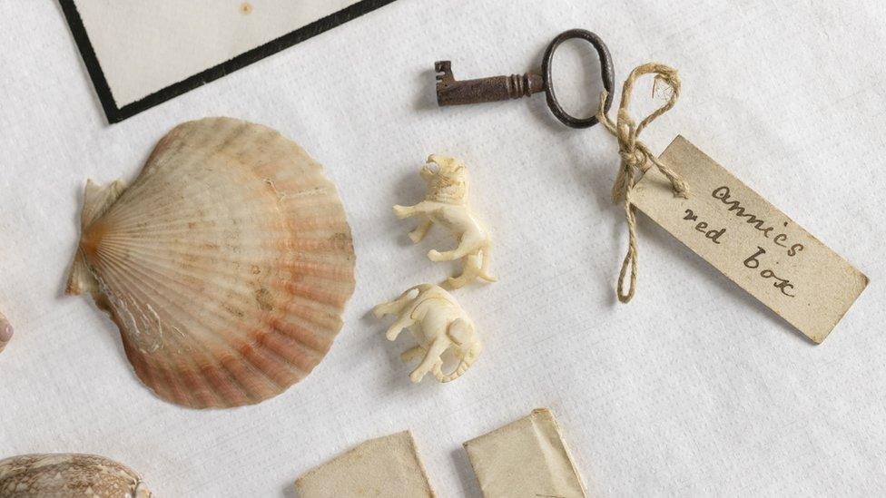 Close up of shells and a key.