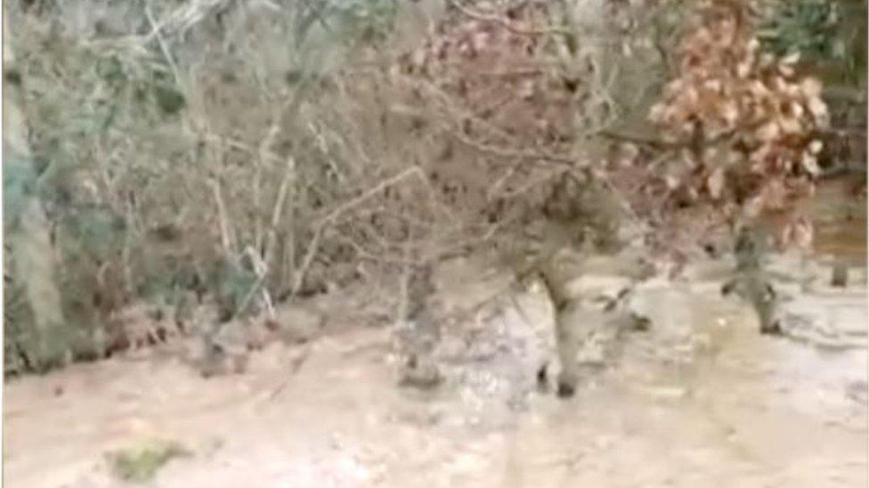 A muddy puddle of raw sewage at near homes in Galgorm