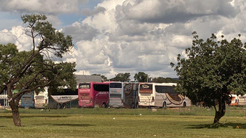 The fleet of buses seized by authorities