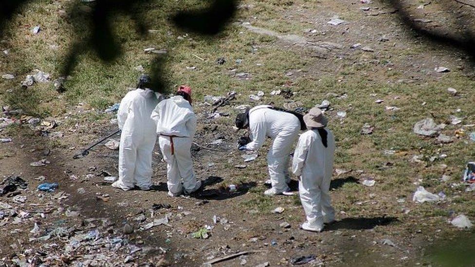 Forensic examiners search for human remains on a garbage-strewn hillside in the densely forested mountains on the outskirts of Cocula, Mexico, on 28 October, 2014