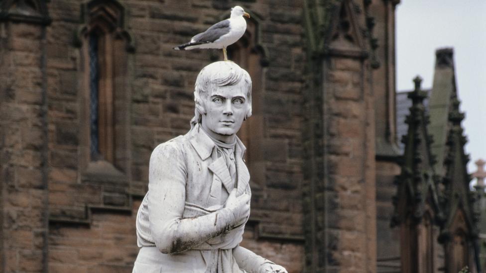 Seagull on Robert Burns