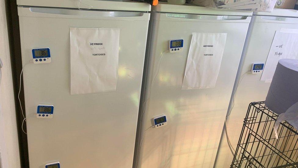 Fridges