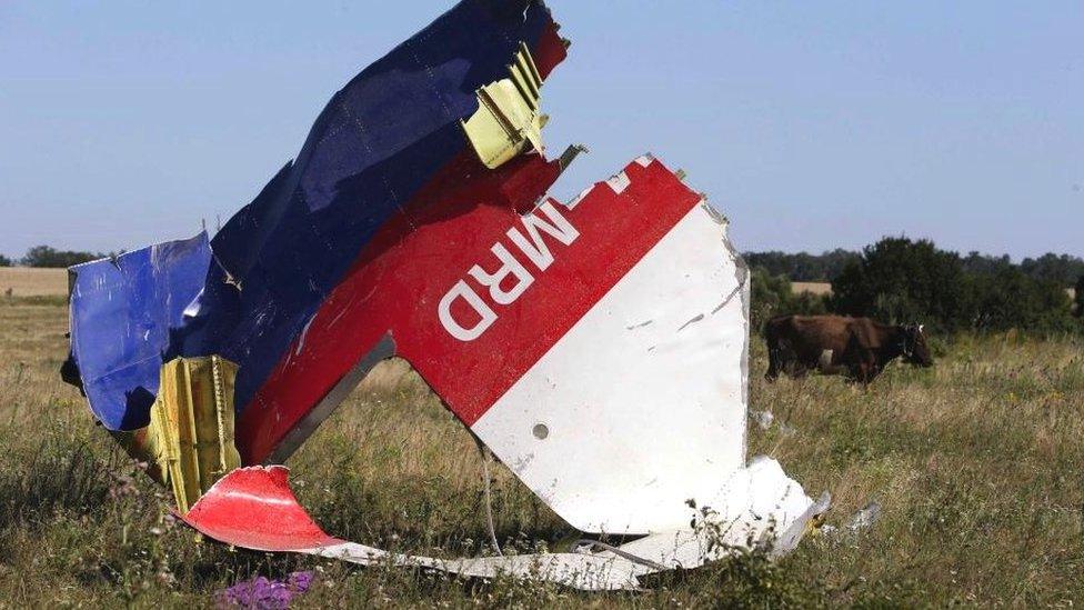 Wreckage of a plane in a field where cows are grazing