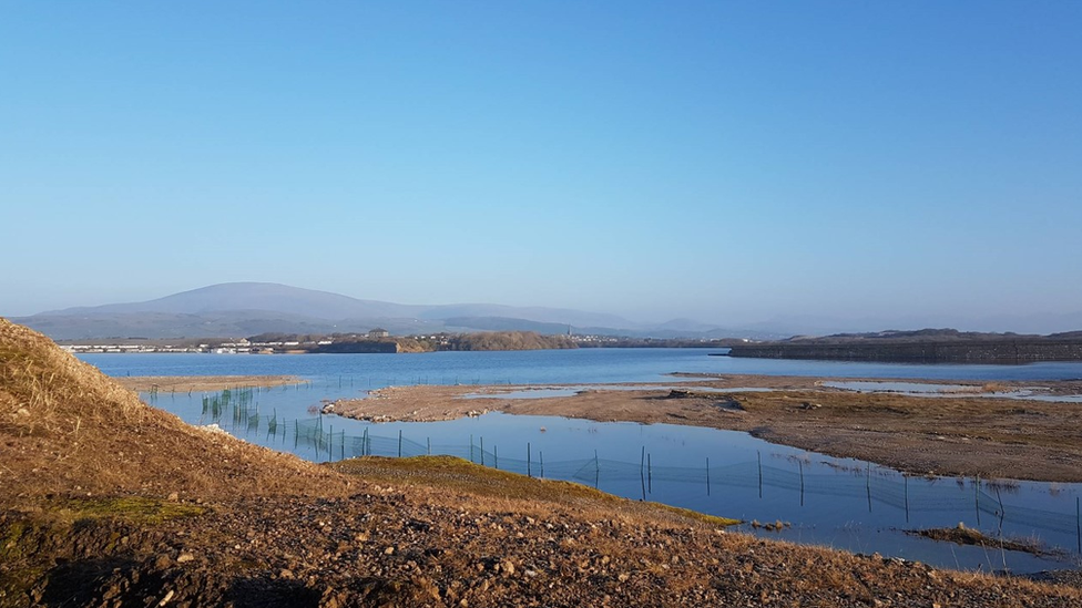 The new island created at RSPB Hodbarrow