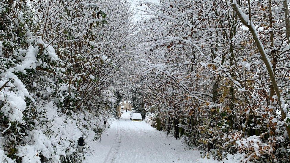 Watledge near Nailsworth covered in snow