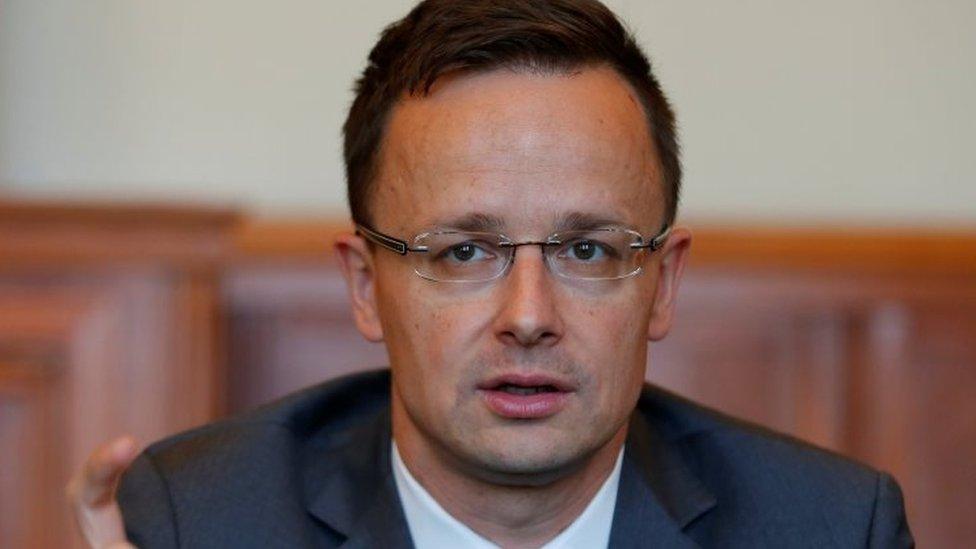 Hungarian Foreign Minister Peter Szijjarto. Photo: 22 May 2017