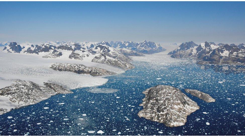 greenland-icebergs.