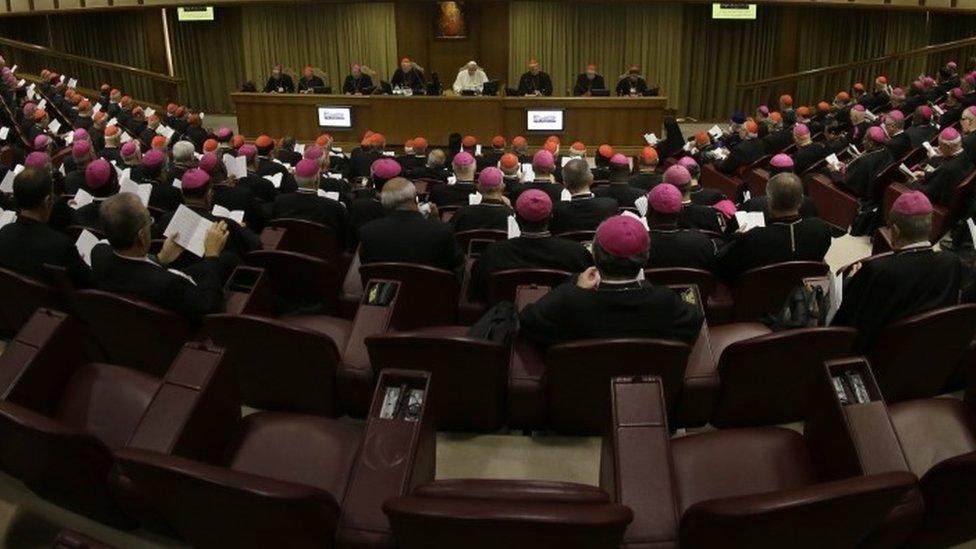 Synod on family issues (2014)