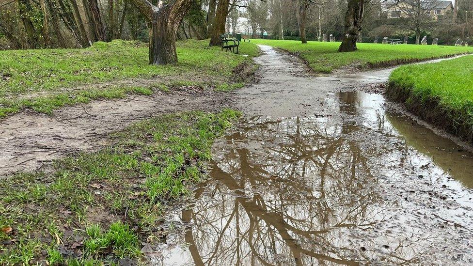 Flooding in a park