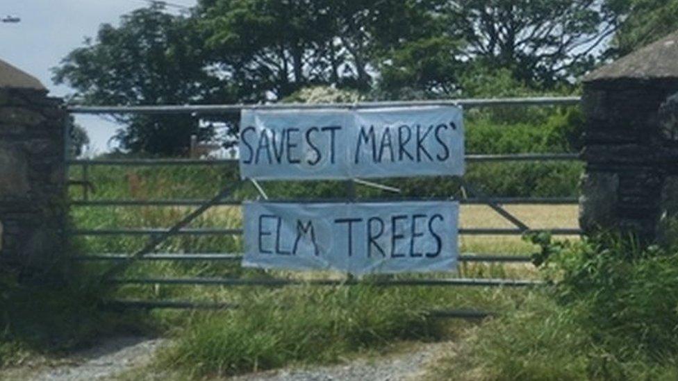 Banner in St Marks calling for trees to be saved