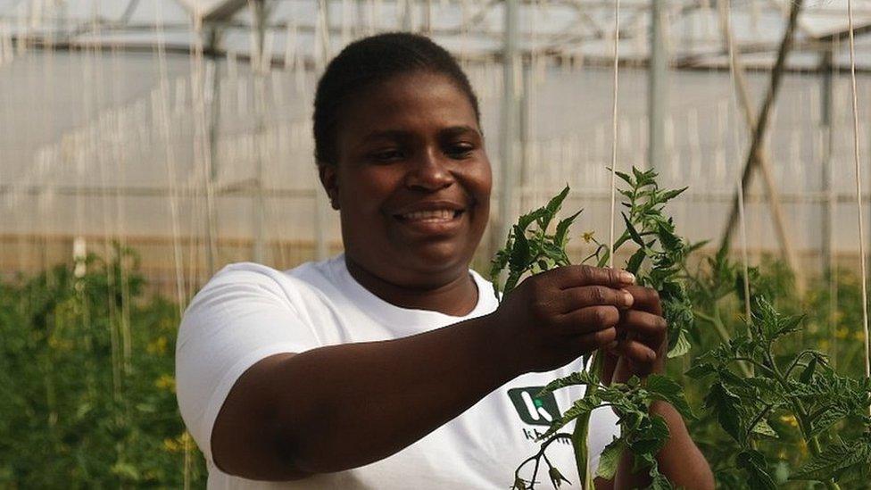 Patricia Seaba of TC Woman in Action Farming