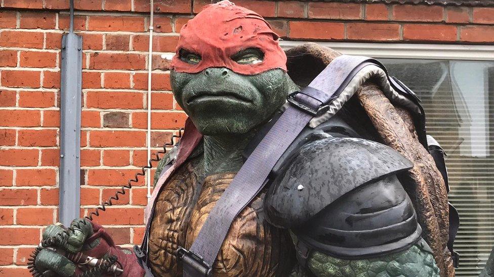 Raphael turtle model