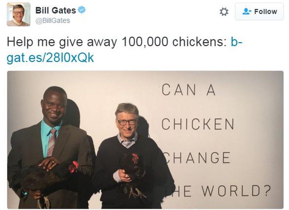 Screen grab from tweet from Bill Gates which reads: "Help me give away 100,000 chickens"