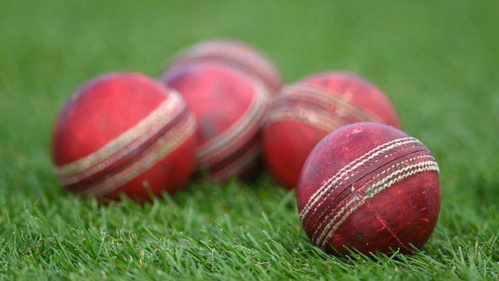 Cricket balls