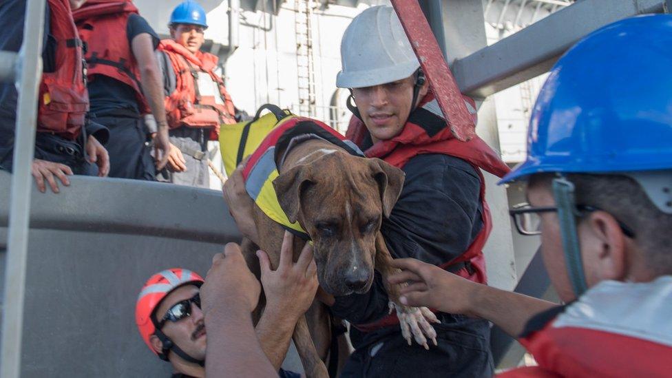 Two US mariners rescued by the US Navy after nearly five months at sea, 25 October 2017