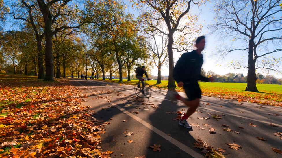 Cyclist and jogger