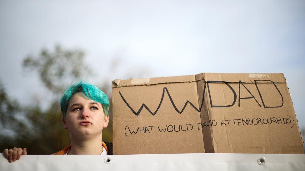 Climate Strike placard