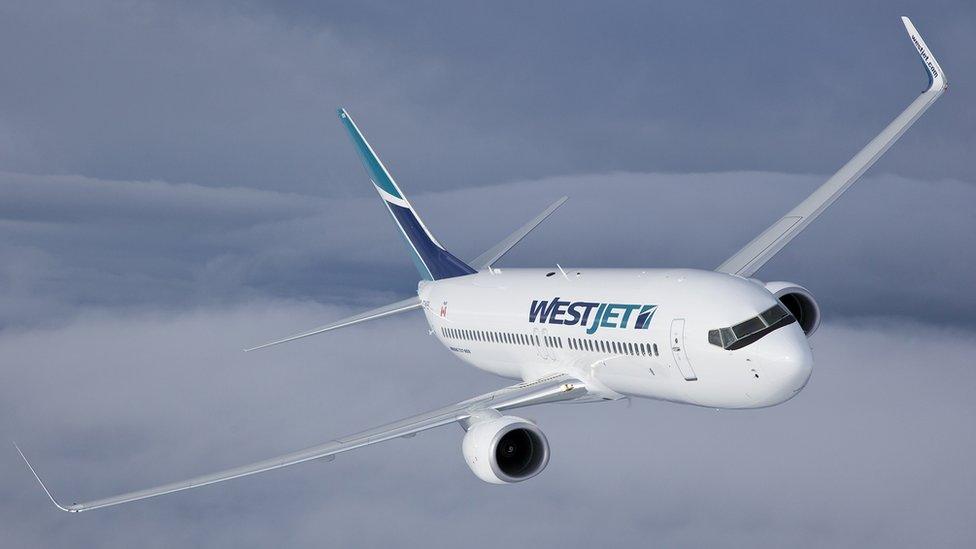 WestJet Boeing 737-800 (publicity photo)