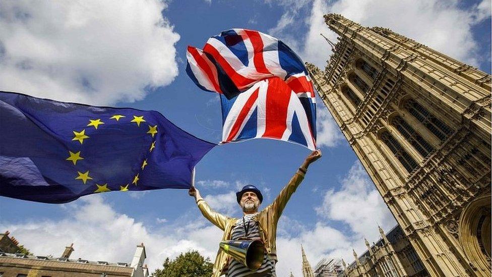 Anti-Brexit supporter outside Parliament