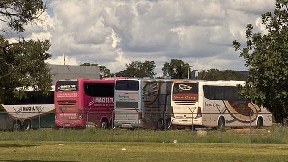 The fleet of buses seized by authorities