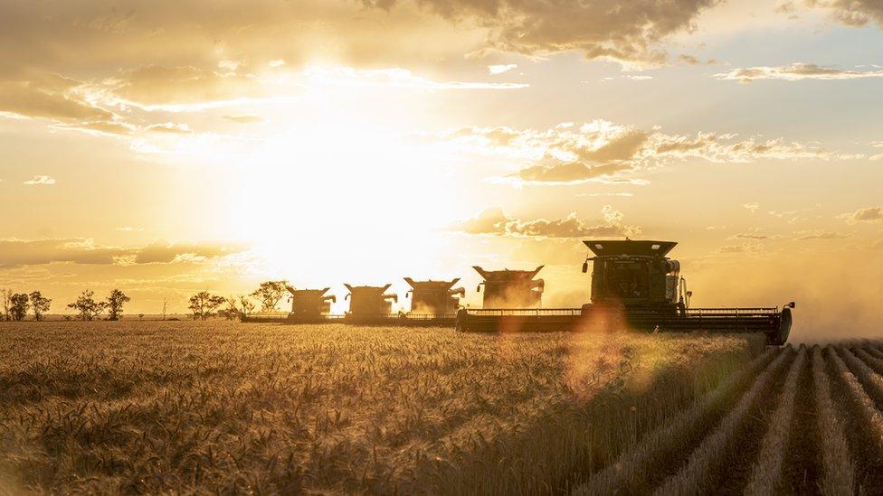 Queensland farm