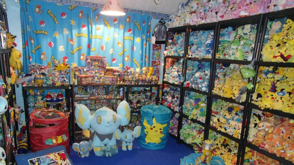 Lisa Courtney's Pokémon collection