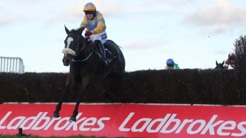 Mindsmadeup died while running at the Cheltenham Festival