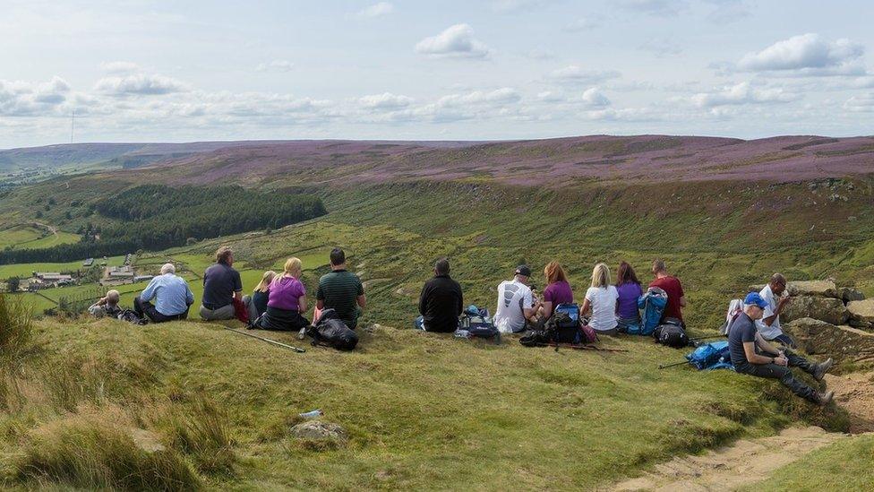 Guided walk in the national park